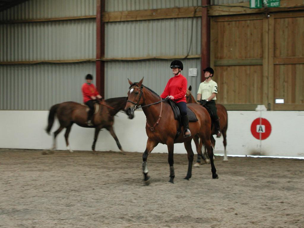 Horses circling around.