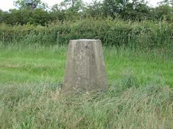 P6300024	The trig point near Lord Morton's Covert.