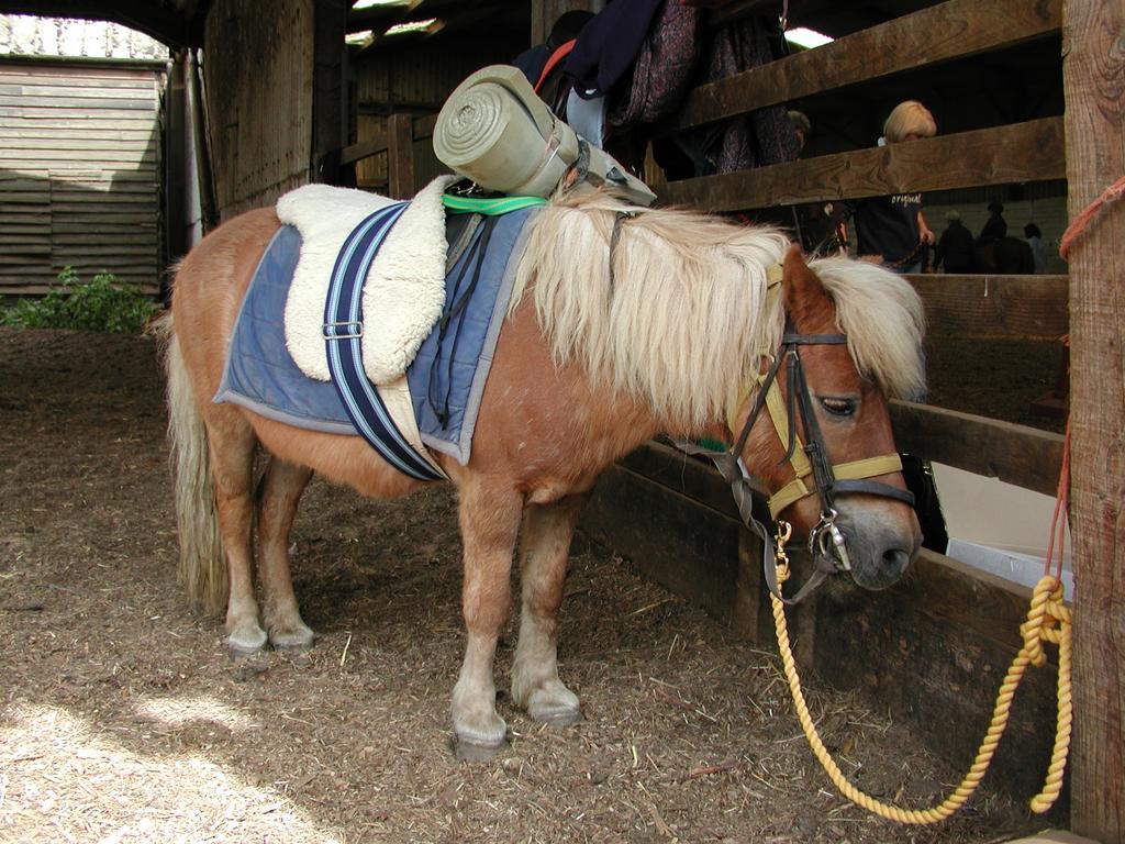 A visit to the RDA in Barton.