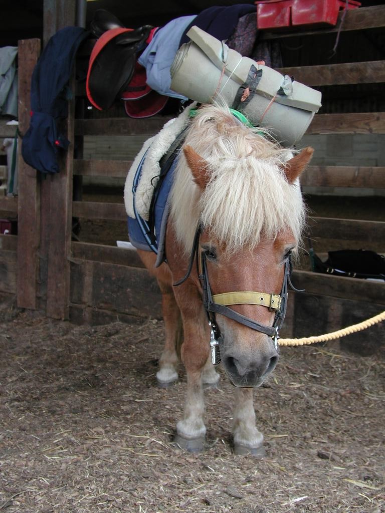 A visit to the RDA in Barton.