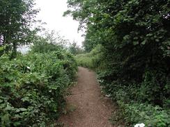 P20027300031	The Icknield Way path past the Downs. 