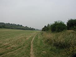 P20027300035	The Icknield Way path. 