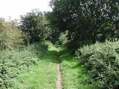 P20028250020	The Weaver's Way to the north of Aylsham. 