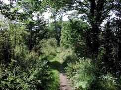 P20028290025	The path leading towards Oak's Farm along Oaks Lane. 