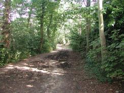 P20028290028	The path along Conduit Lane. 