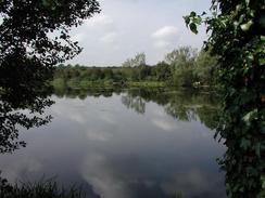 P20029040021	A view of a lake in the Sharnbrook nature reserve. 