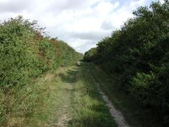 P20029060026	The track leading from Grange Farm to Green End Farm. 