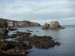 P2002A040045	The view north from St Abbs Harbour. 