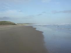 Looking northeast along North Sands towards Crimdon Park. 