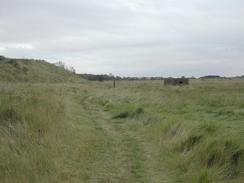 P2002A260007	The path leading behind the dunes from Saltfleet to Rimac. 