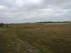 P2002A270008	A view in Gibraltar Point nature reserve. 