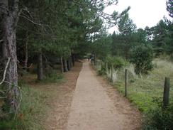 P2002B020013	The path running through the trees from Holkham Gap to Wells. 