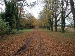 P2002B090047	The track through Sudbourne Park. 