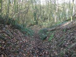 P2002B110045	The path leading up through the woodland from Martlesham Creek towards the road. 