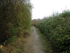 P2002B120045	The footpath leading from the docks up to Fagbury Cliff. 