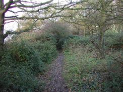 P2002B140052	The path through the woodland at the top of the cliffs in Shotley Gate. 