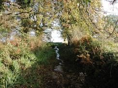 P2002B150036	The bridleway leading to the river to the east of Nether Hall. 