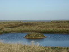 P2002B220008	Part of the new high-level marshland. 