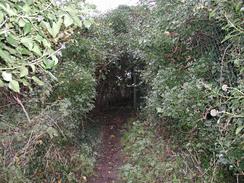 P2002C060009	The path leading uphill from Otterham Quay. 