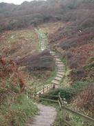 P2002C140035	The path leading up from Ecclesbourne Glen. 