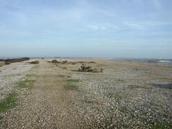 P2002C190035	The beach leading southwestwards to Selsey. 