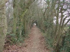 P2002C200017	The path through the woodland to the north of the harbour. 