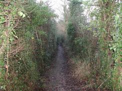 P2002C250004	The bridleway to the south of Bursledon. 