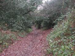 P2002C260090	The path leading south from Frost Lane. 