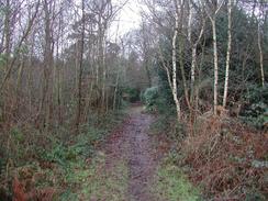 P2002C270023	The path leading westwards from Calshot to the road. 