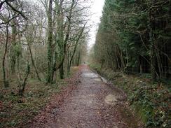 P2002C270053	The footpath from Beaulieu to Bucklers Hard. 