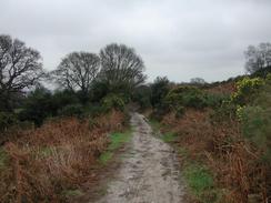 P2002C310085	The bridleway leading from Ower Farm towards Ferry Road. 