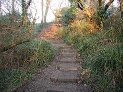 P20031080003	The steps leading up out of Lyme Regis. 