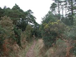 P20031090011	The ascent up from Budleigh Salterton. 