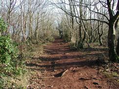 P20031120031	The path leading to Fishcombe Point. 