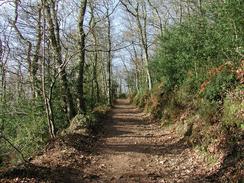 P20031130020	The path heading northwards through Long Wood. 