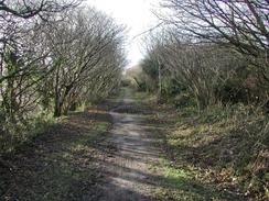 P20031290002	The disused railway line leading to Calenick. 