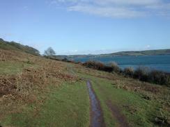 P20031300024	The footpath beside Carrick Roads. 