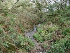 P20032160019	A stream on Brownsham Cliff. 