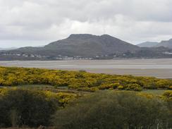 P20033300776	The view north towards Portmeirion.