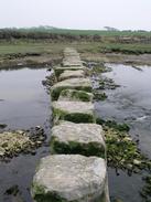 P20034071154	The stepping stones over the Afon Braint.