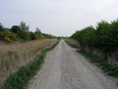 P20034201718	The track over Ince Marshes.