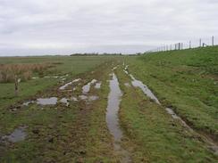 P20034271983	Boggy ground on the way to Pattys Farm.