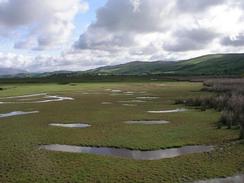 P20035032262	Marshes north of Dunnerholme.