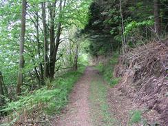 P20035042331	The track leading through the Muncaster Estate.