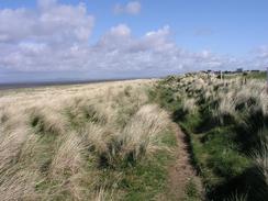 P20035102557	The sand dunes to the south of Silloth.