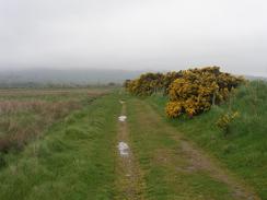 P20035172813	The track leading northeastwards through the Mersehead Nature Reserve. 