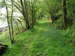 P20035182847	The path through the woodland to the south of South Glen.