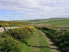 P20035243175	The track heading northwards from Castle Clanyard.