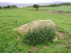 P20036093983	The 'Cup and ring marked rock' to the south of Point Farm.