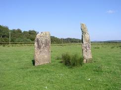 P20036254586	The standing stones near Carse House.